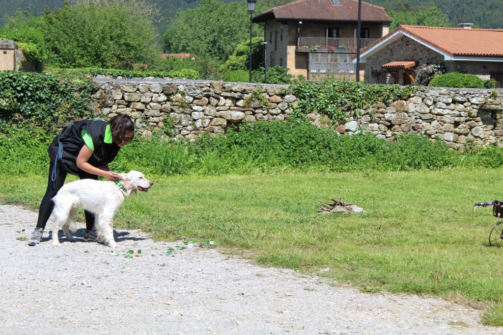 Initium Curso obediencia canina
